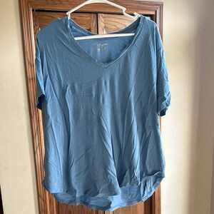 Terra & Sky Blue V-Neck Top